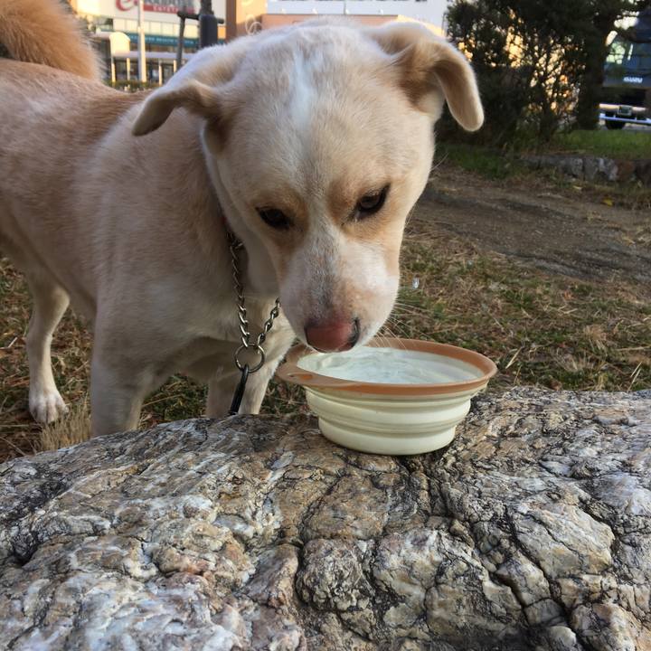 5a1e9098 bdd4 4f5b 8c0a 45e1f82d23c2 1515554759631