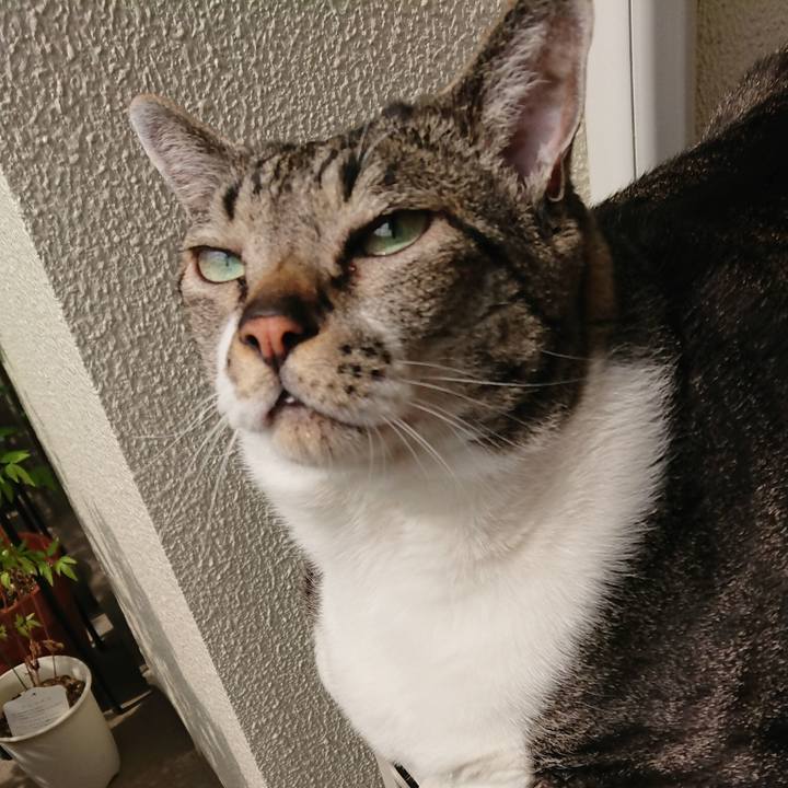 5a1e9ab5 c50d 4dbb 9c43 2482bc5157f0 1557872587949