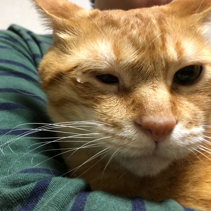 5a1ee489 da1f 48e5 bb59 1abea3088375 1600166211047