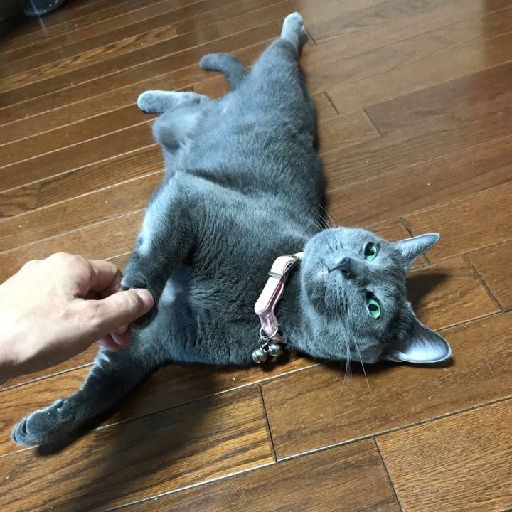 5a1eebd4 952b 4cf3 a28a da3453bc6ad4 1565240129294