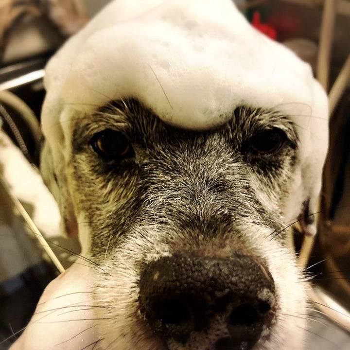 5a1f0702 6519 4761 a86b 5acc96d057ce 1537707232050