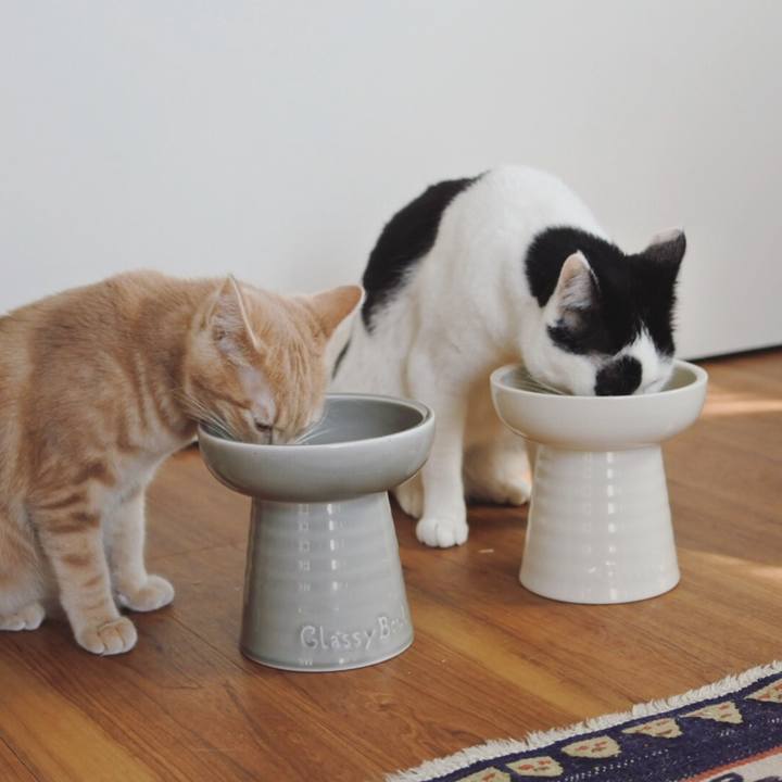 5a1f615c 4b96 47d1 92db a4e248d4461e 1549798587555