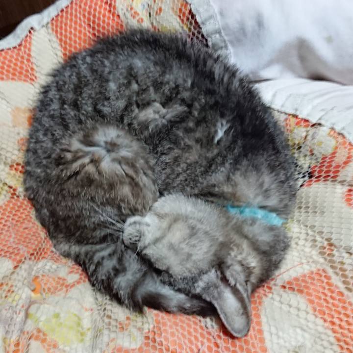 5a1f653b 23ee 44a3 9f1a 39898544338e 1571053410032