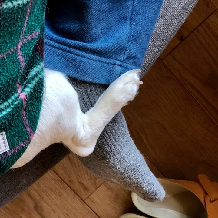 5a1f7ff3 0955 47a2 a297 58237385b581 1620203910068