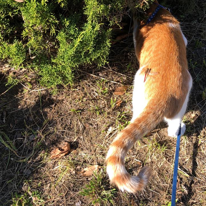 5a1fbdc1 8042 4e46 b488 497b6a773380 1541043713770