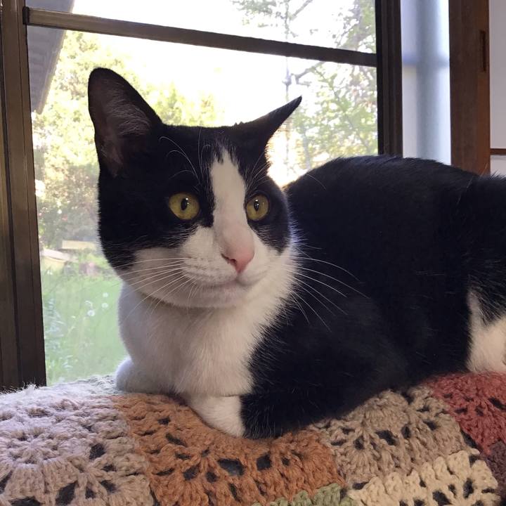 5a1fcada aa76 4f06 8455 829068df9caf 1650616062575