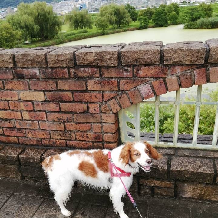 5a20174c 6d7d 4b53 984a 929b3950e7cc 1594264955527