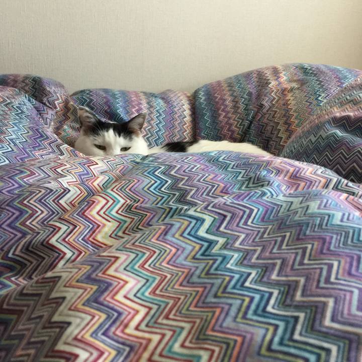 5a201c1e 3b4a 49a6 ac9d da991493bd1c 1511051604017