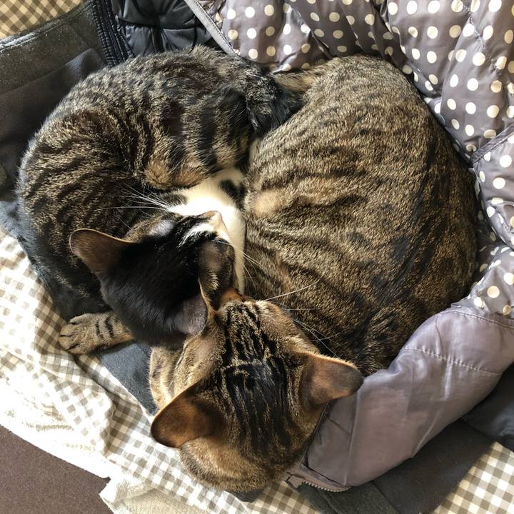 5a2046c9 8abc 42bc bb37 9d2c8f2774df 1519731504699