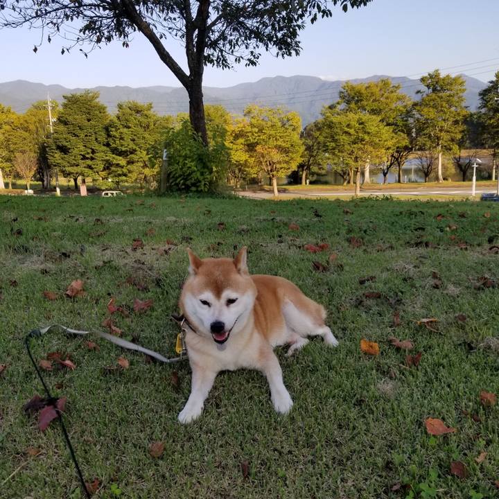 5a205330 71a4 4c88 825f 42311110d4a5 1633245354092