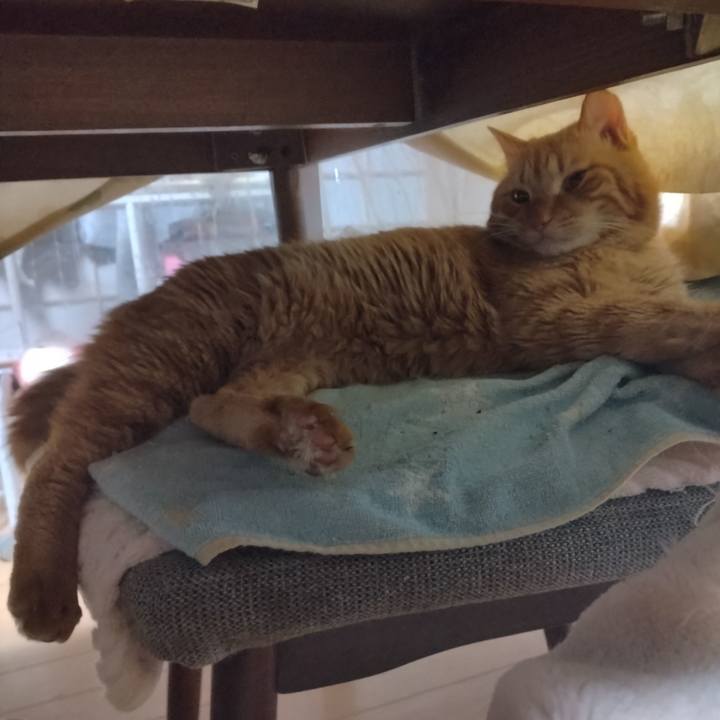 5a205f23 55ed 4b17 bb76 cdd0771b1304 1705792807853