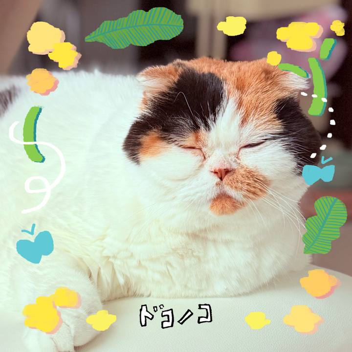 5a2065ef c56b 447c af67 181c32adc5ff 1744330574908