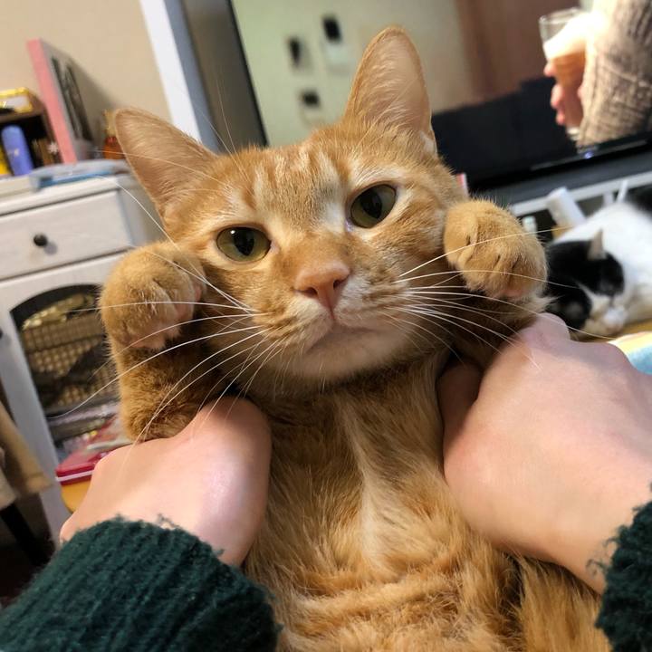 5a2091d8 e9c3 4cec 817b 0f6722562e4d 1611114259033