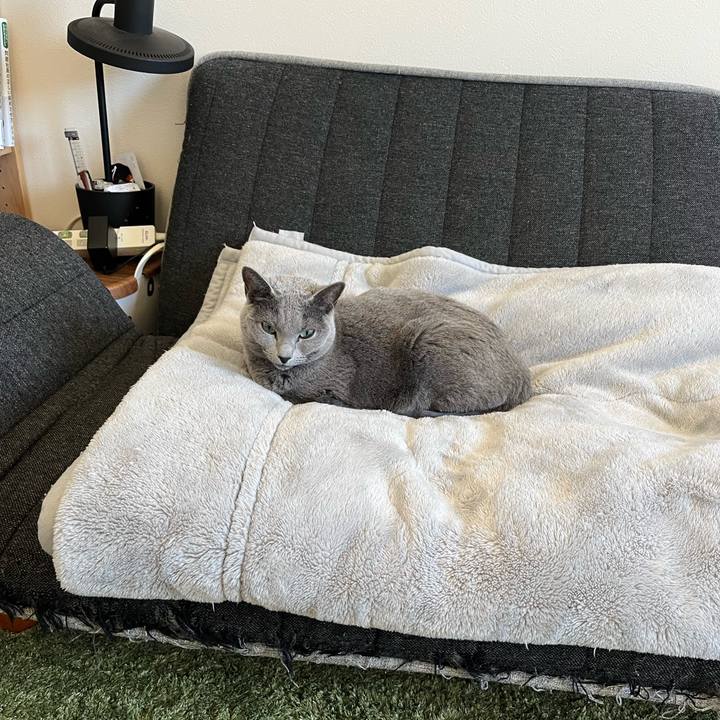 5a20b4b9 7061 42a3 8b45 d3a21dfbf816 1769303187162