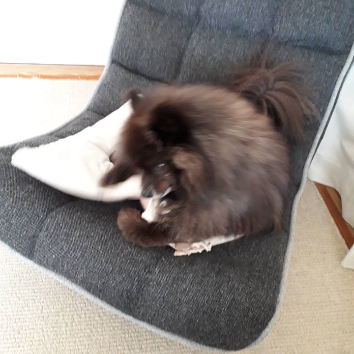 5a20c17c 9a56 4f1c 8e8e 878928c804a4 1521763404361