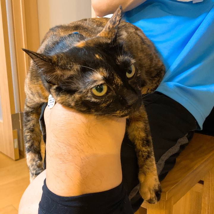 5a20d069 329c 42ec 8838 cdb3565be533 1569753112700