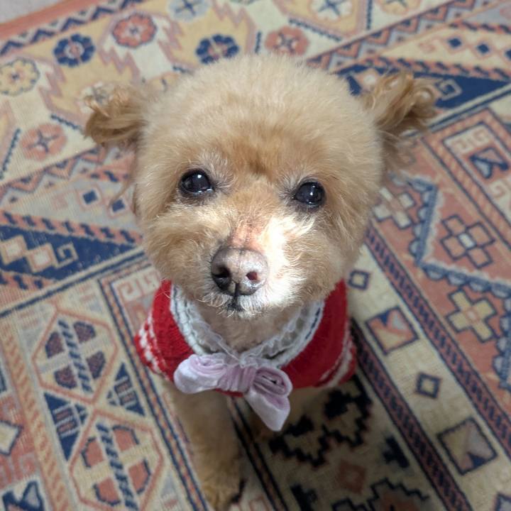 5a20e746 778e 4c28 9379 dbf4b3bcda1a 1770078151873