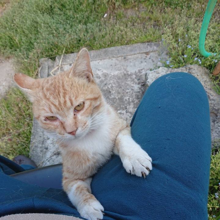 5a20f902 b016 4a09 9043 8d846bd5a012 1557738108387