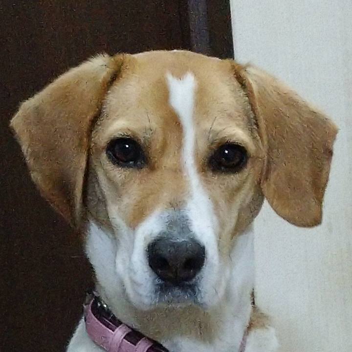 5a20fd5a 487e 4d85 96f3 12a00c3cf05d 1582198260747