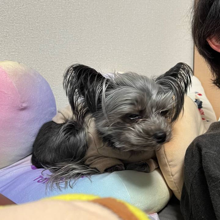 5a2100f8 386f 48a1 93be 6884317aaf95 1771161693633