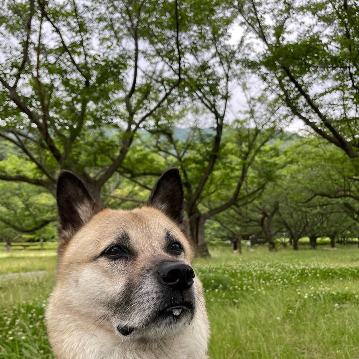 5a214674 a35a 4245 b02b 5e4abce7bc5d 1718540864781