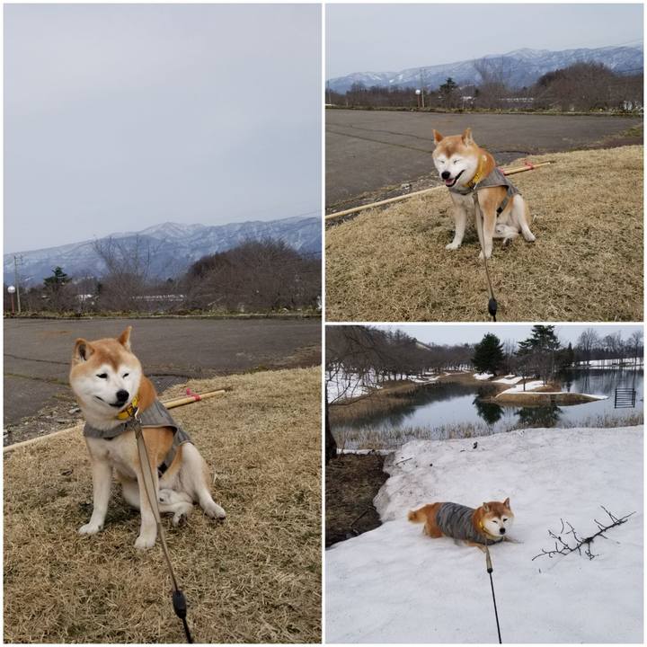 5a2189dc 89e7 41d7 b07b 2836e44d08f8 1678602999556