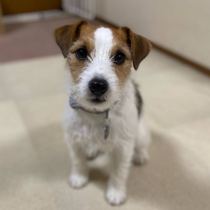 5a219e19 b33c 42b9 902d 9677dd5ced83 1738414025658