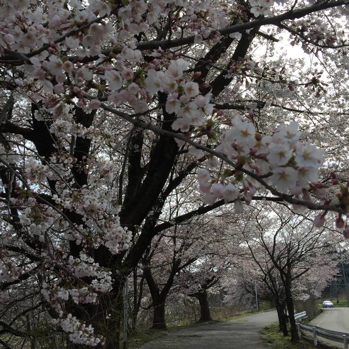 5a219ff8 01c6 40a7 a1b5 e98396b3dfaa 1586239524480