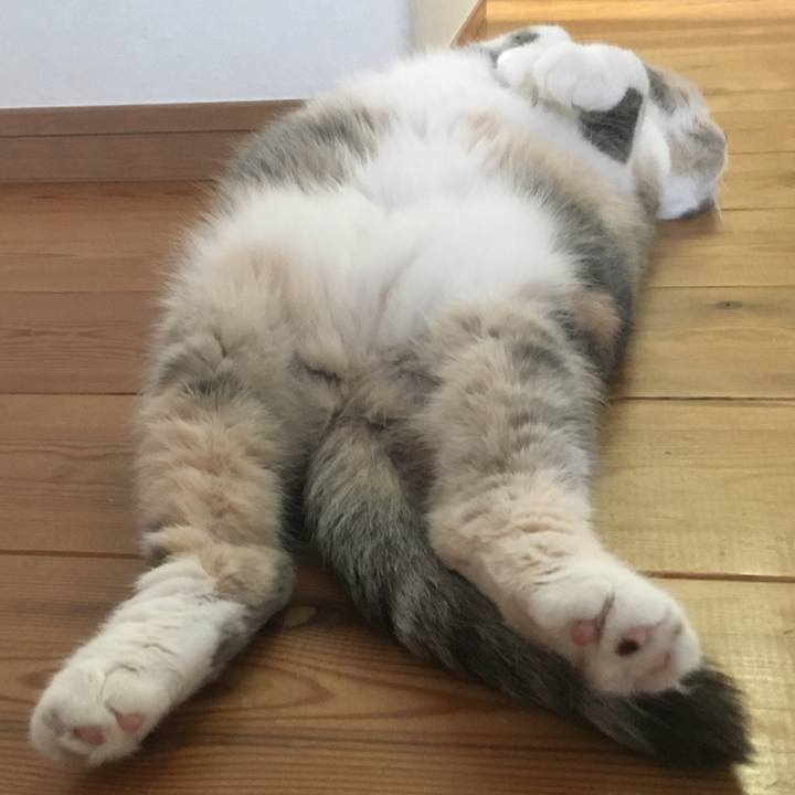 5a21a74a 1332 41a9 ae2f 77a2b572f5b3 1586601998293