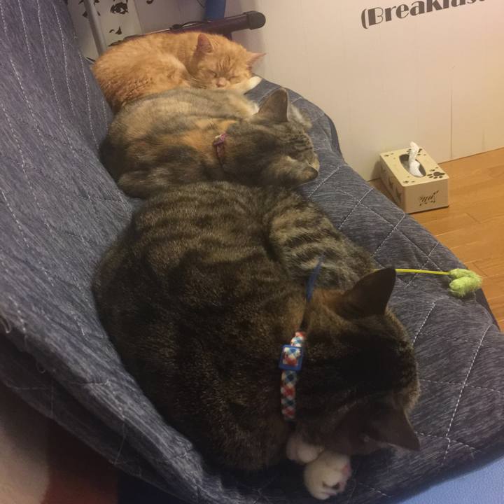 5a21d0f0 46f8 4cd9 8d3c 5427b479695f 1559403452439