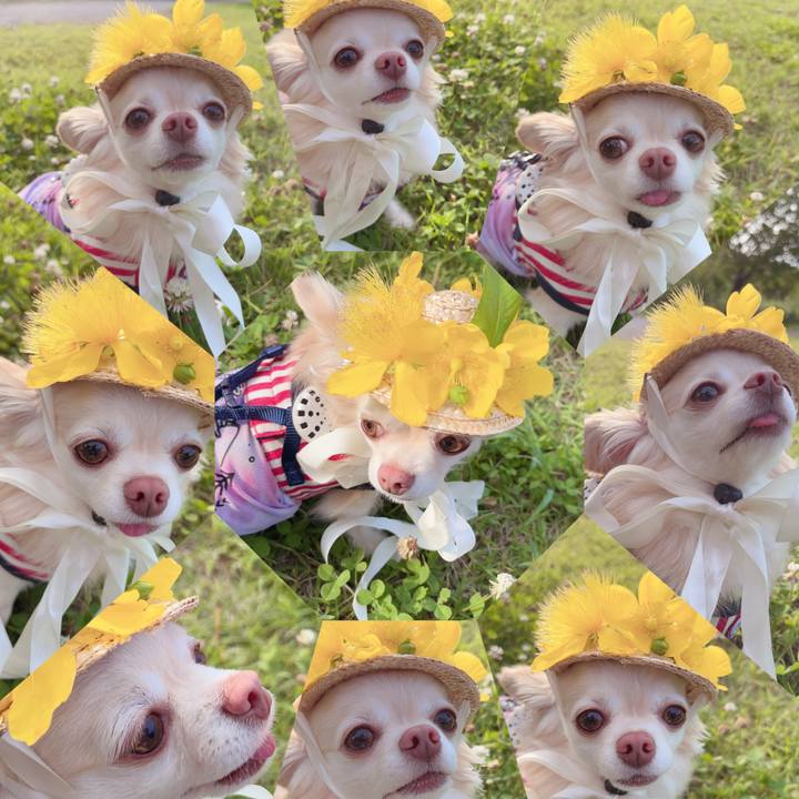 5a21dd24 b01b 4bee 932b 10715b64d988 1718529976075