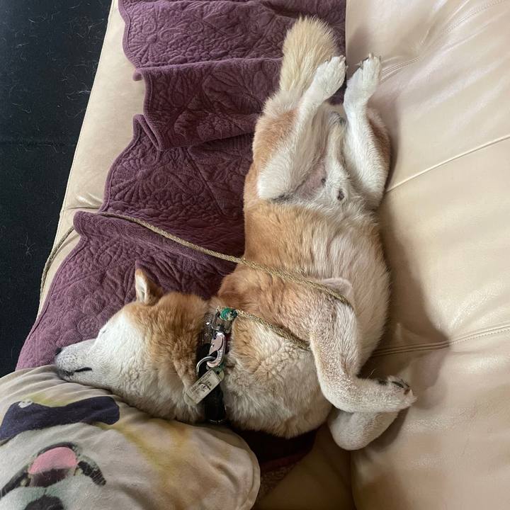 5a21e1c8 ee38 4150 bf06 85b3a198a588 1696464267387