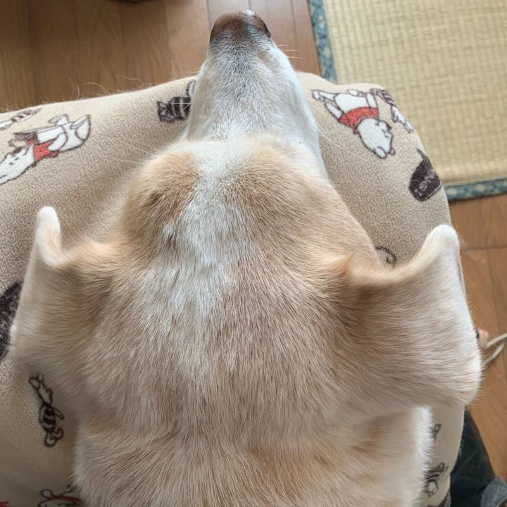 5a2206a0 5d00 45dc 9582 64cd8fbff01c 1640494703215