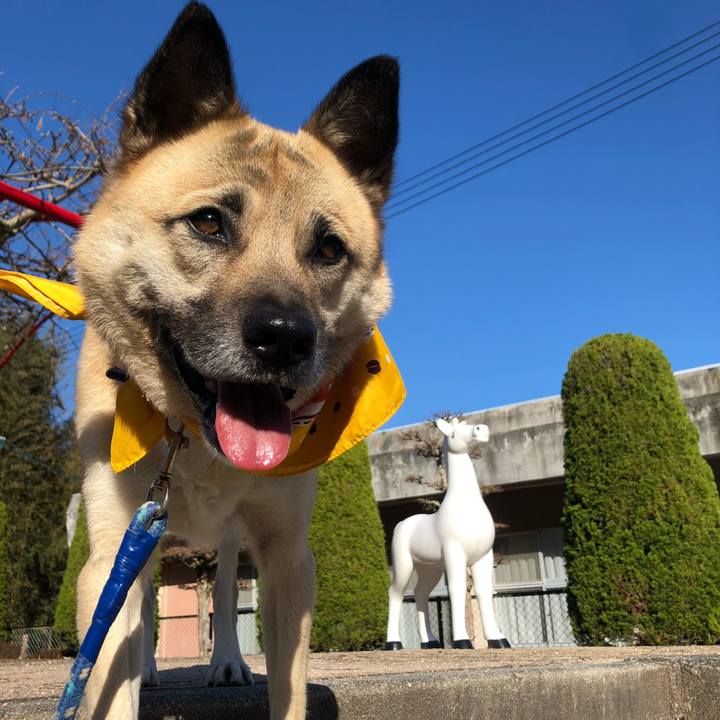 5a22324b d66b 4e69 988f 75974080cf18 1582442393139