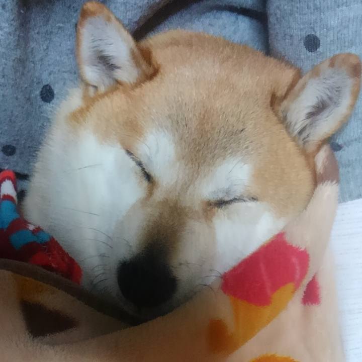 5a226cd4 8f81 4e33 8a66 73bc8db01101 1610181723381