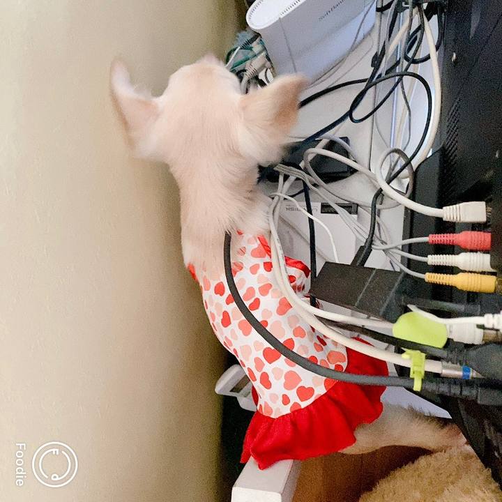 5a2270a1 2ee3 4add a1cb 7cb3a0a06738 1599801459177