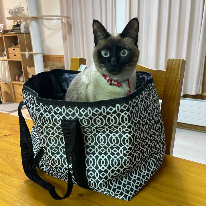 5a22a858 e529 4428 883a 866d4a0dcb3d 1740602694903