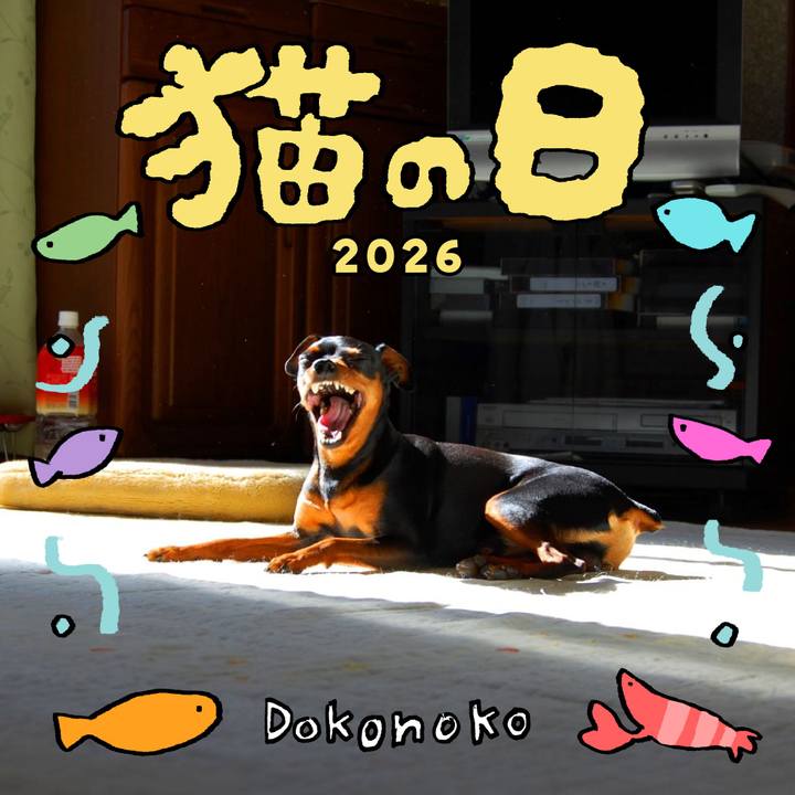 5a22b865 35f8 4d07 8e36 ec6c87e02c1e 1771713980755