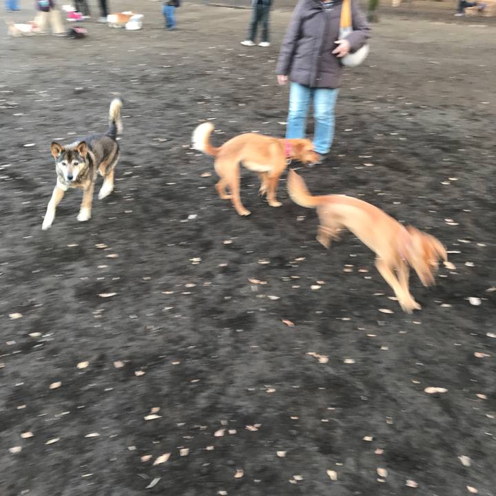 5a22cb72 d8ad 485e a50e 9a99906993cf 1515494212430