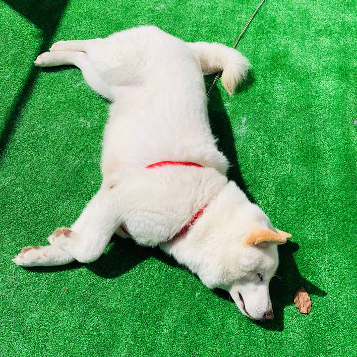 5a22d147 9925 4036 af59 329a8bc1ca6b 1586848043783