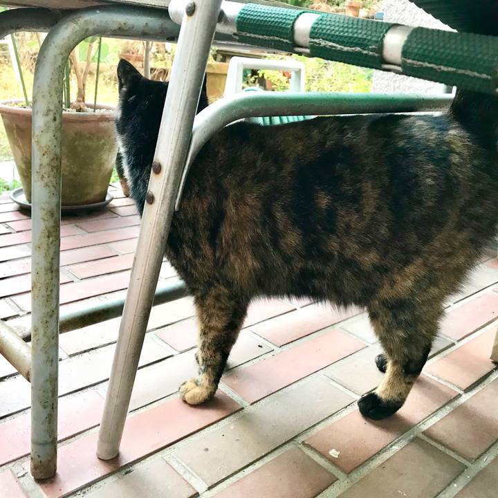 5a22d703 ef34 4113 909d 6cf60b9af149 1511931146911