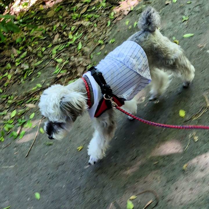 5a22e89c 0267 4254 bd48 0c7bd279b216 1753164023941