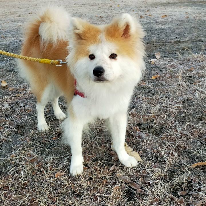 5a230c31 ef6b 4219 9297 395d016d77c6 1638190258962