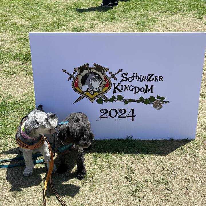 5a232a44 5214 402b ad16 f3748589cdb6 1715398944927