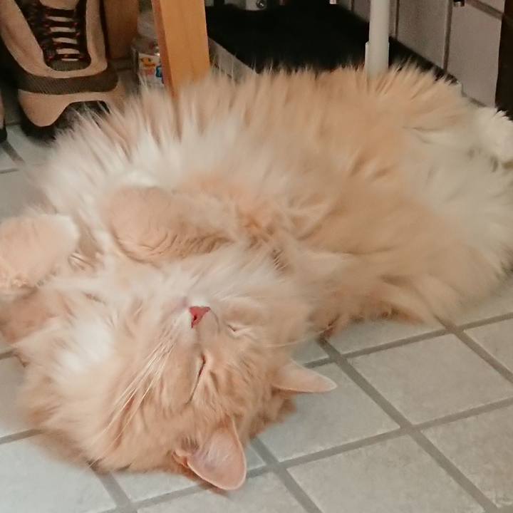 5a2396f6 20ea 40b0 aae4 4e274b89c9f6 1535121386737