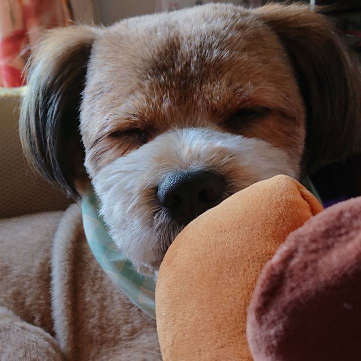 5a239c03 3594 45be 819a 0e56b9637d0f 1557375398789