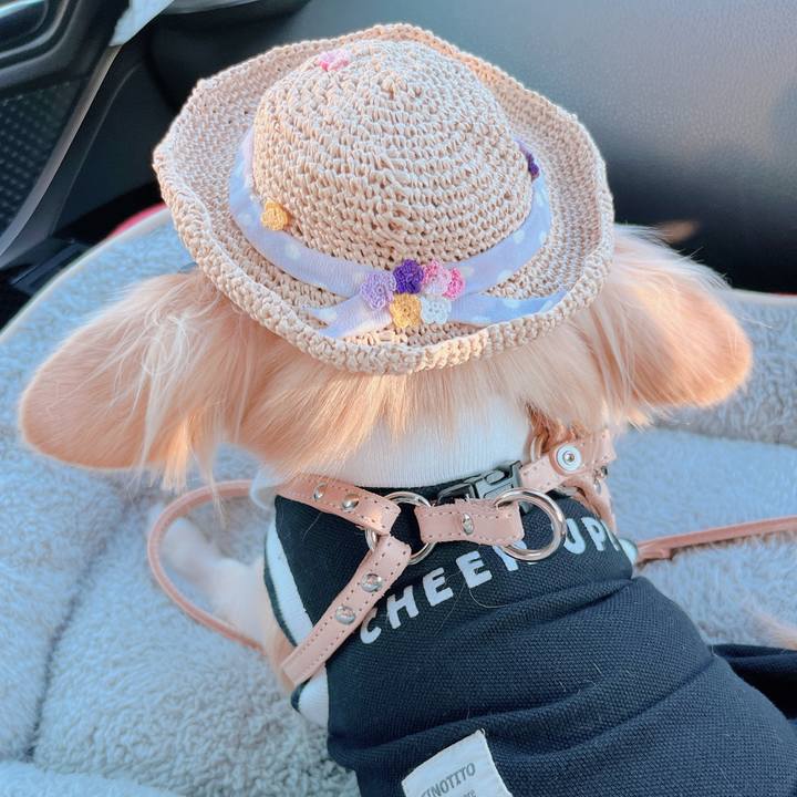 5a239df0 94fe 4ad3 8682 4144e0ba1a91 1664089477809