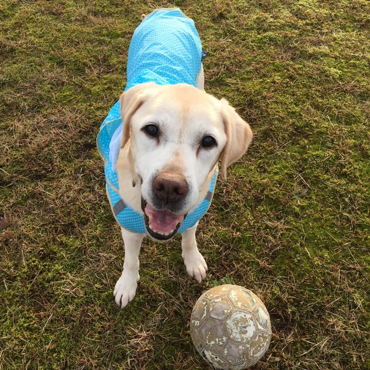 5a23b827 633f 43d6 9336 2b6115df053d 1622603204965