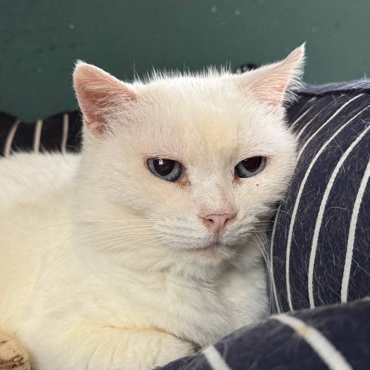 5a23baf4 882b 4545 ae59 960e627b75b0 1764693117147