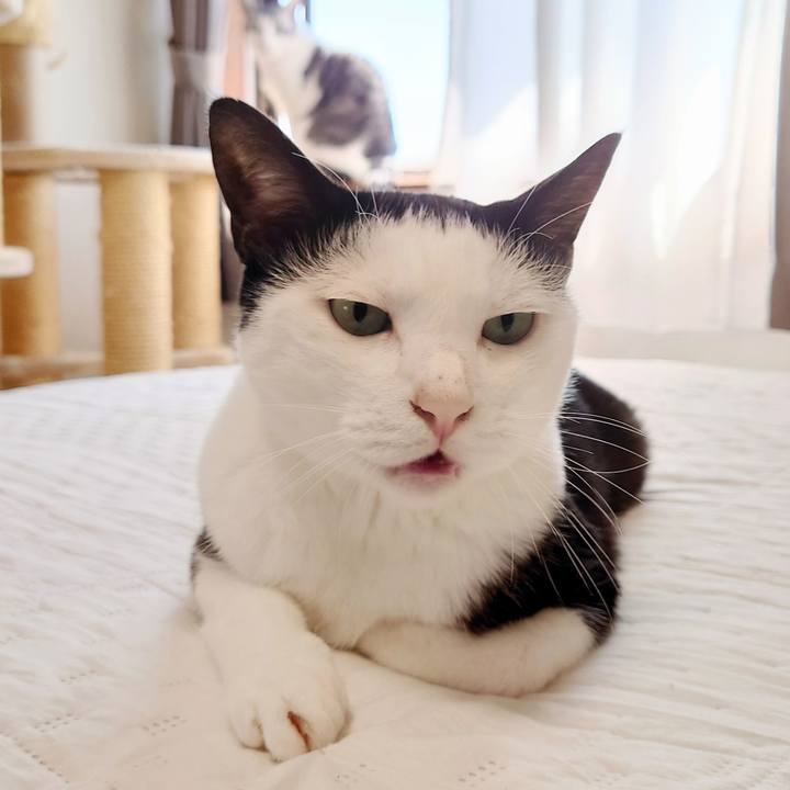 5a23bd31 1eca 4fc0 ac00 88a448bc4196 1632363481718